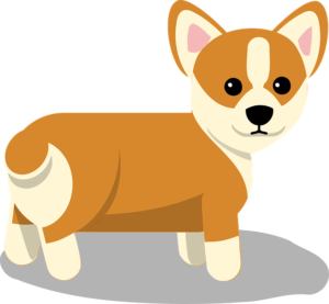Corgy 2